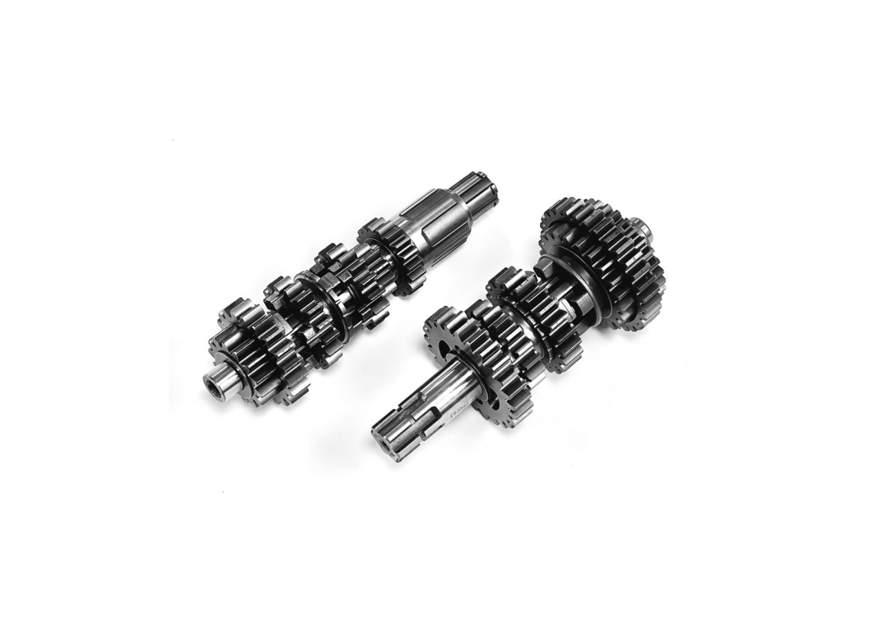 Boite de vitesse moteur vertical - 250cc/300cc (Zongshen)