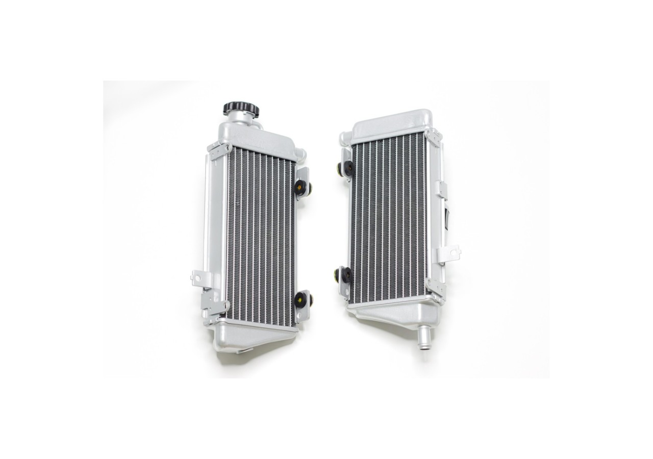 Radiateur de refroidissement complet - 300cc (ERZ L)