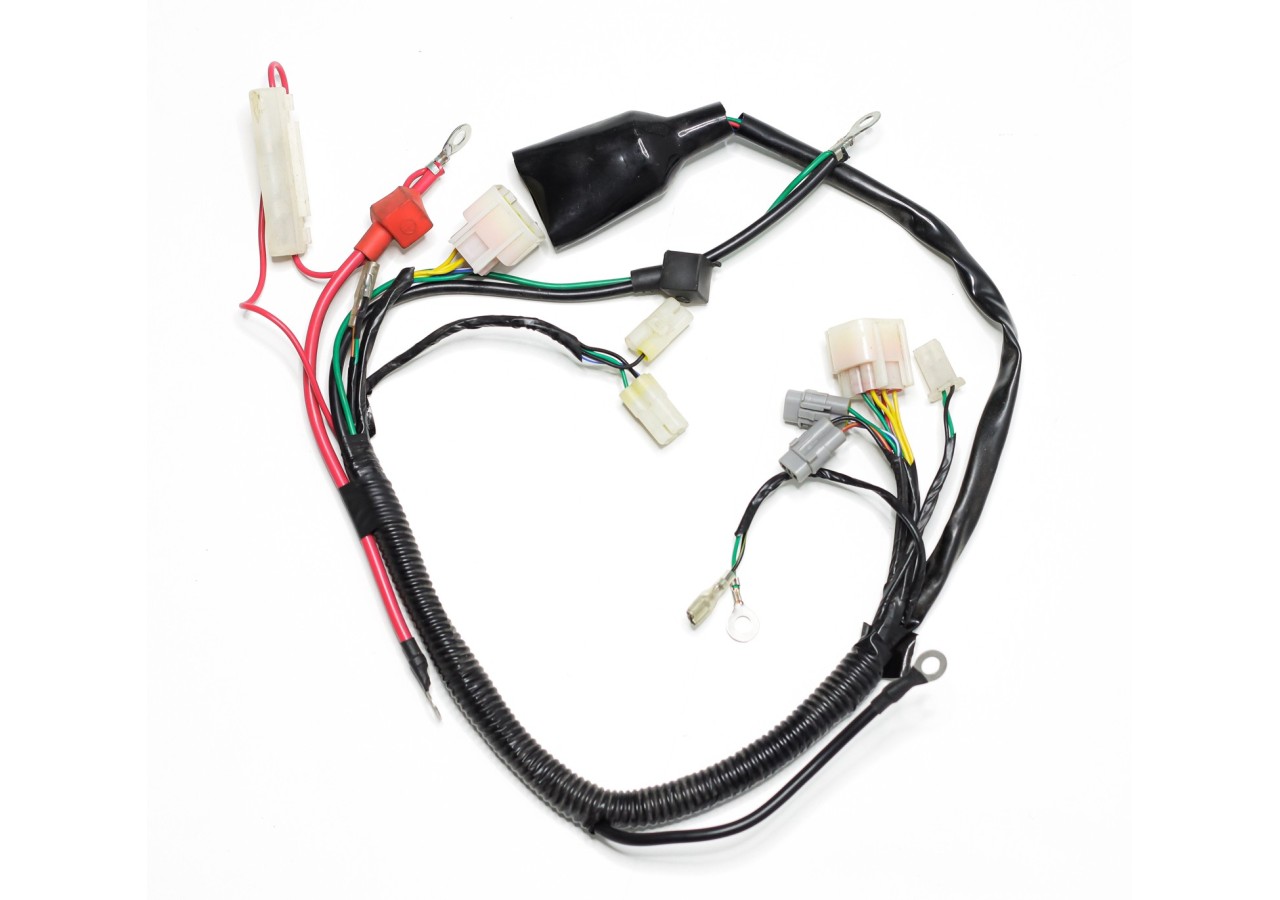 Faisceau électrique complet - ERZ 300 L