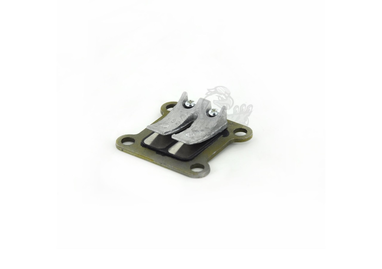 Clapet Pocket bike