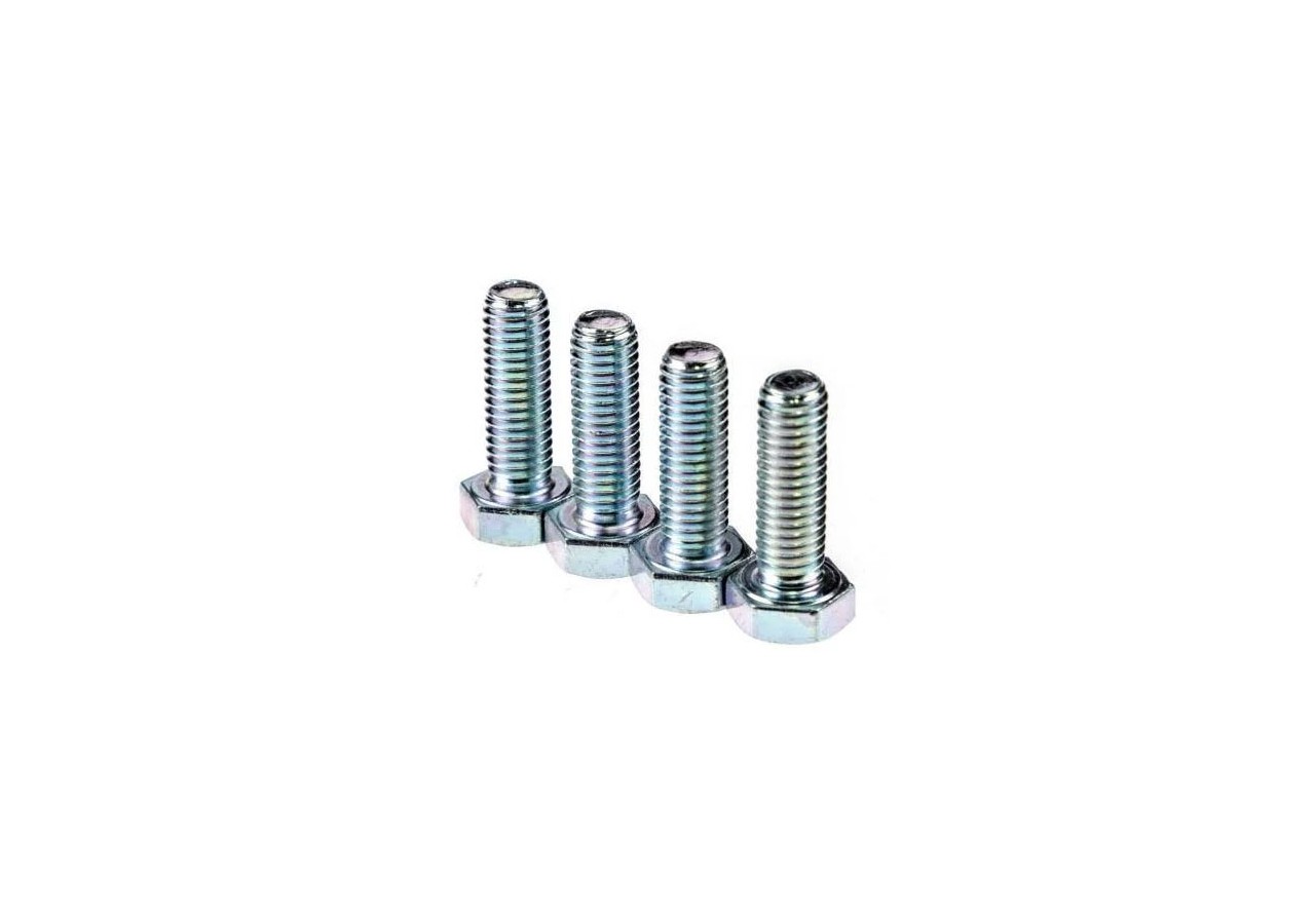 Vis de couronne - M8X25mm - x4