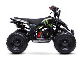 Kit décoration QUAD Wheely 49cc Monster Energy