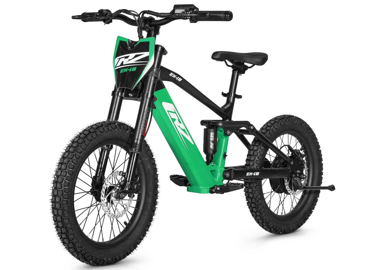 Draisienne électrique CRZ EX - 36V 500W 7,8Ah - 18" - Vert