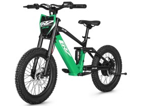 Draisienne électrique CRZ EX - 36V 500W 7,8Ah - 18" - Vert