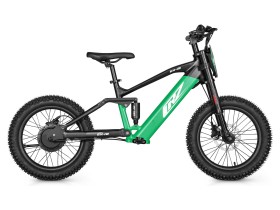 Draisienne électrique CRZ EX - 36V 500W 7,8Ah - 18" - Vert