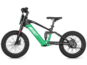 Draisienne électrique CRZ EX - 36V 500W 7,8Ah - 18" - Vert