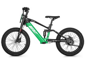 Draisienne électrique CRZ EX - 36V 500W 7,8Ah - 20" - Vert