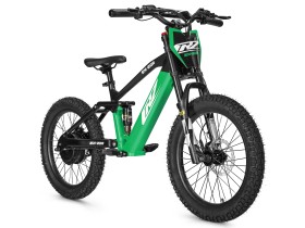 Draisienne électrique CRZ EX-R 750w 36V 7,8Ah - 20" - Vert