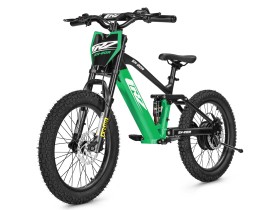 Draisienne électrique CRZ EX-R 750w 36V 7,8Ah - 20" - Vert