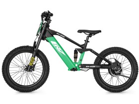 Draisienne électrique CRZ EX-R 750w 36V 7,8Ah - 20" - Vert